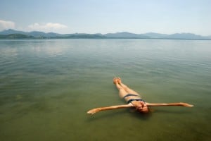 renoncement renoncement